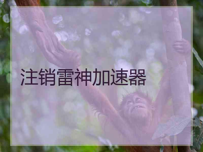 注销雷神加速器