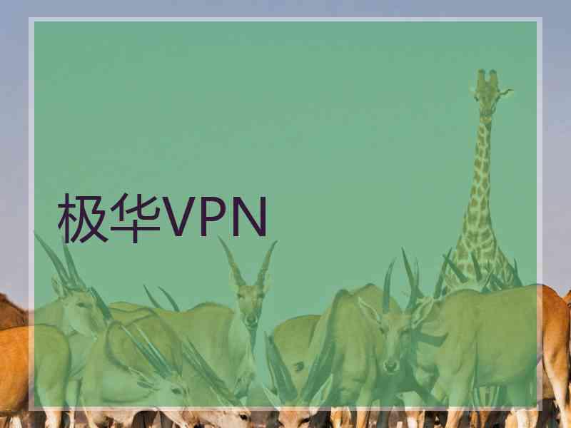 极华VPN