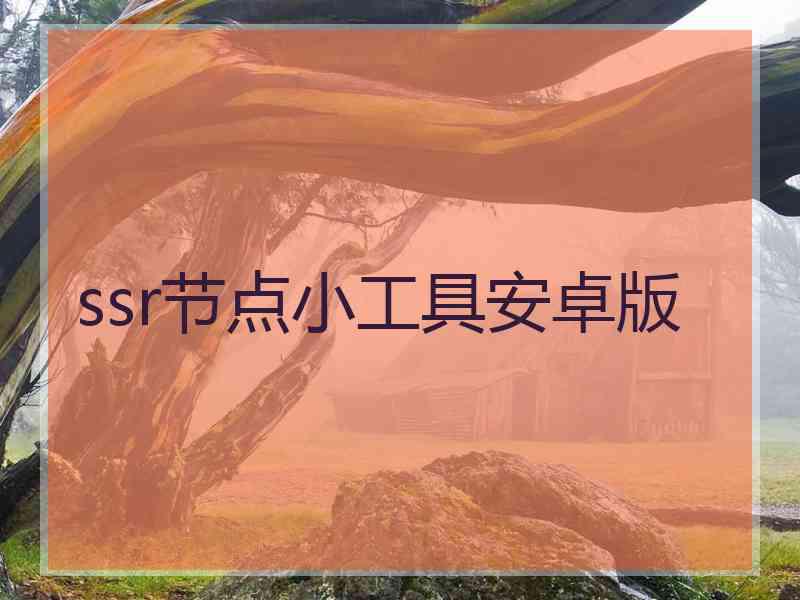 ssr节点小工具安卓版