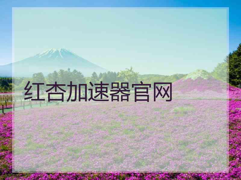 红杏加速器官网