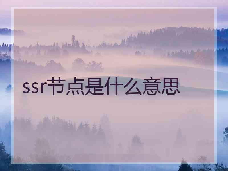 ssr节点是什么意思