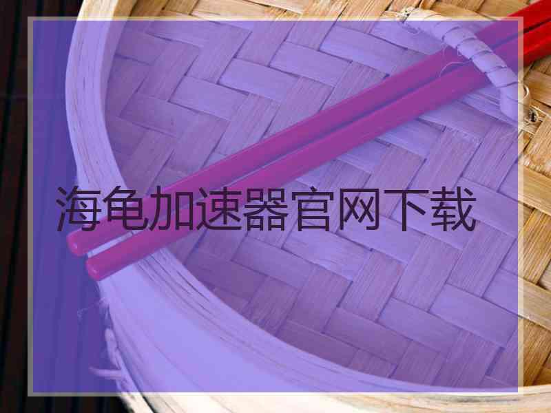 海龟加速器官网下载