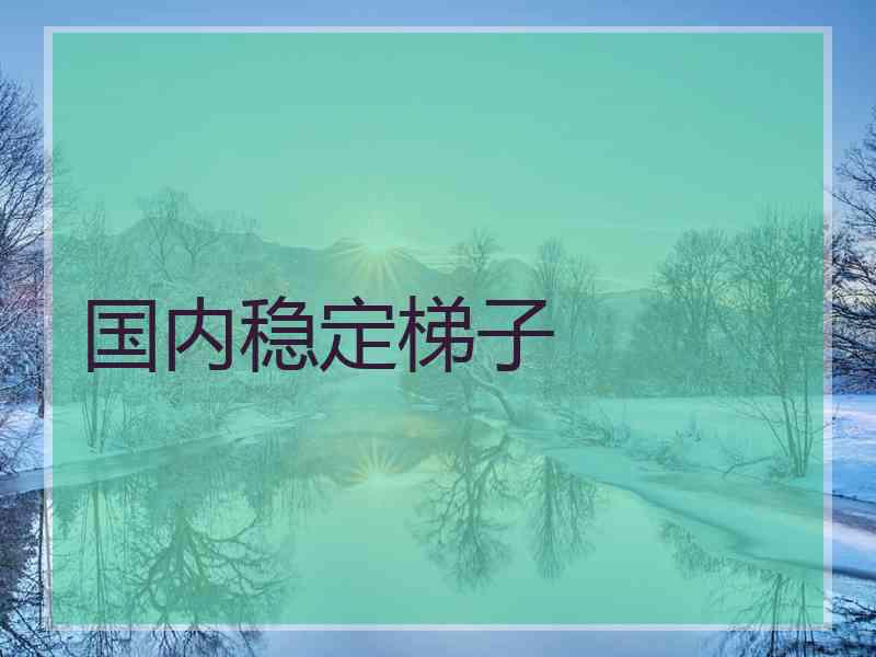 国内稳定梯子