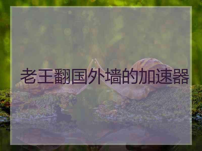 老王翻国外墙的加速器