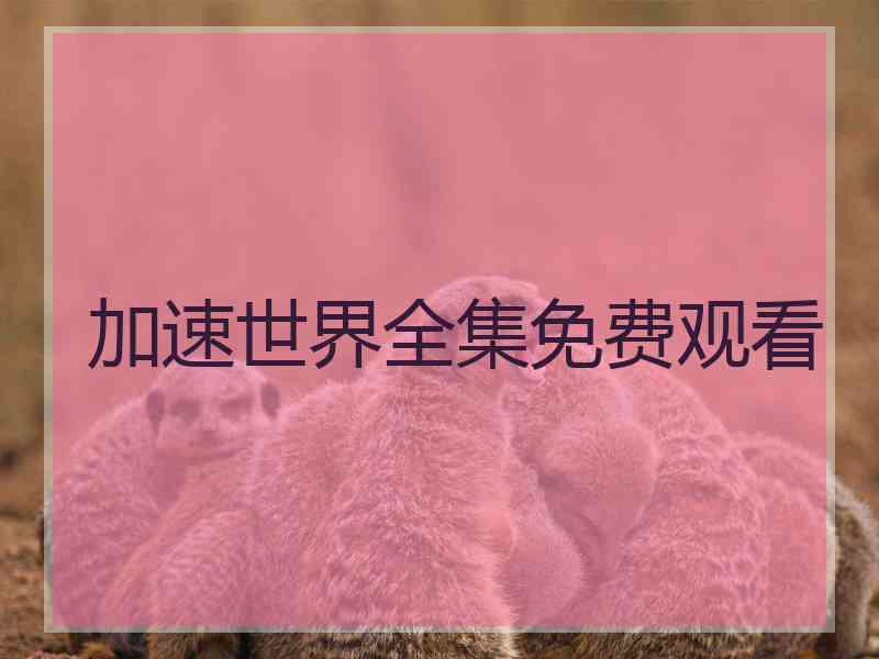 加速世界全集免费观看
