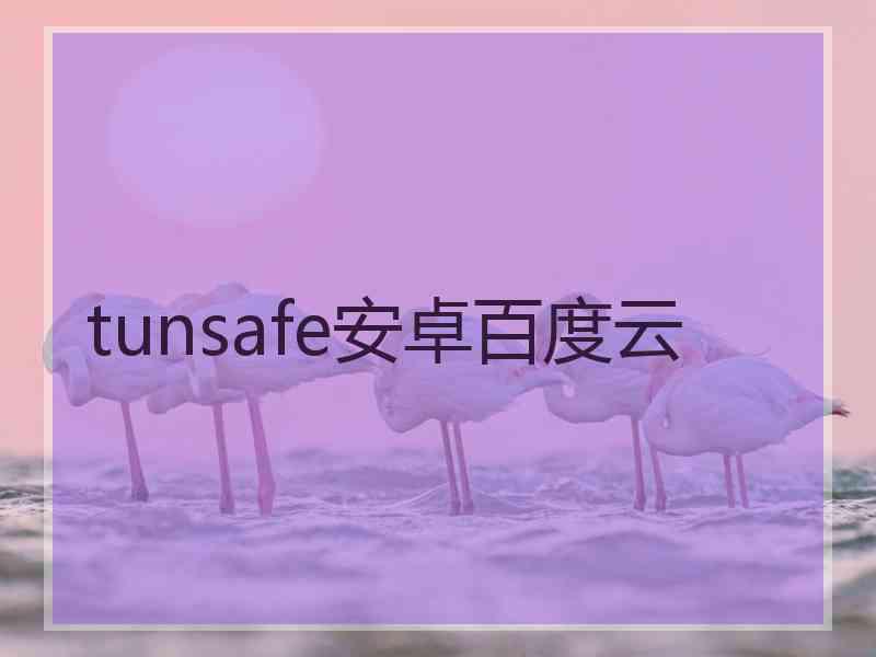 tunsafe安卓百度云