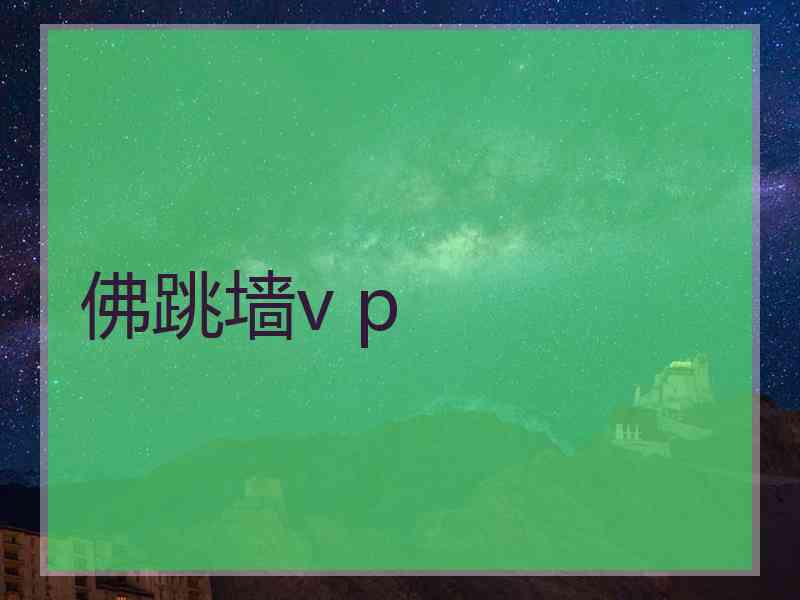 佛跳墙v p