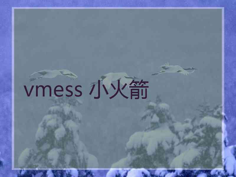 vmess 小火箭