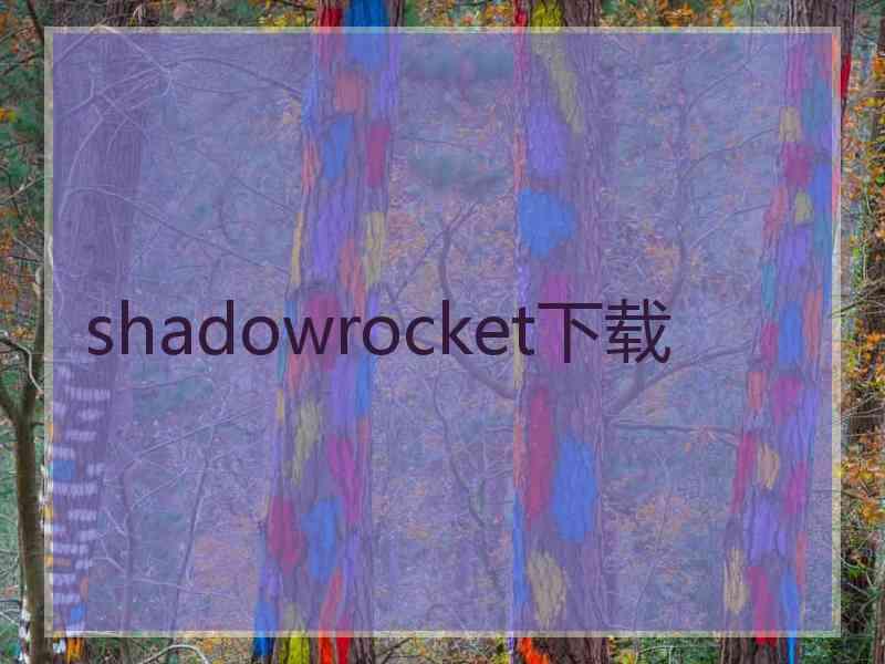 shadowrocket下载