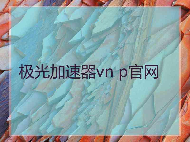 极光加速器vn p官网
