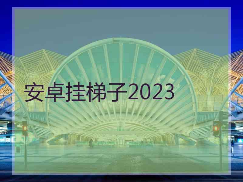 安卓挂梯子2023