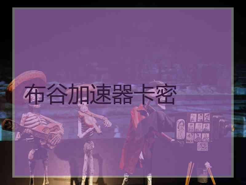 布谷加速器卡密