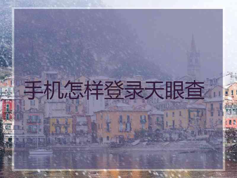 手机怎样登录天眼查