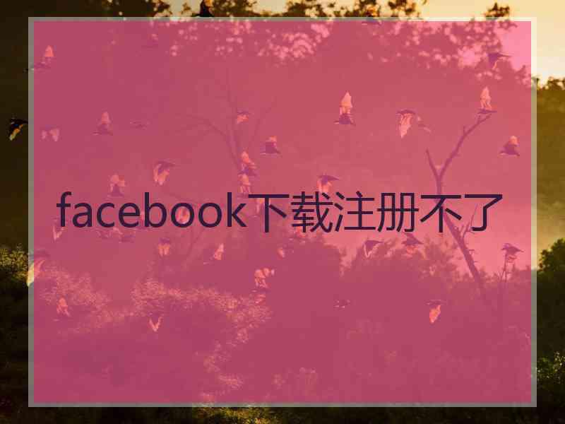 facebook下载注册不了