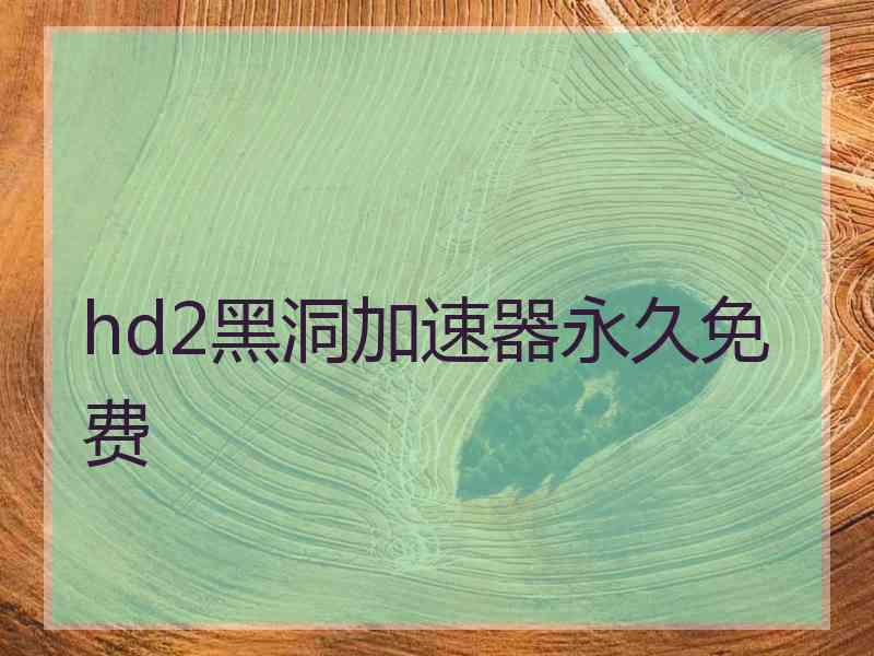hd2黑洞加速器永久免费