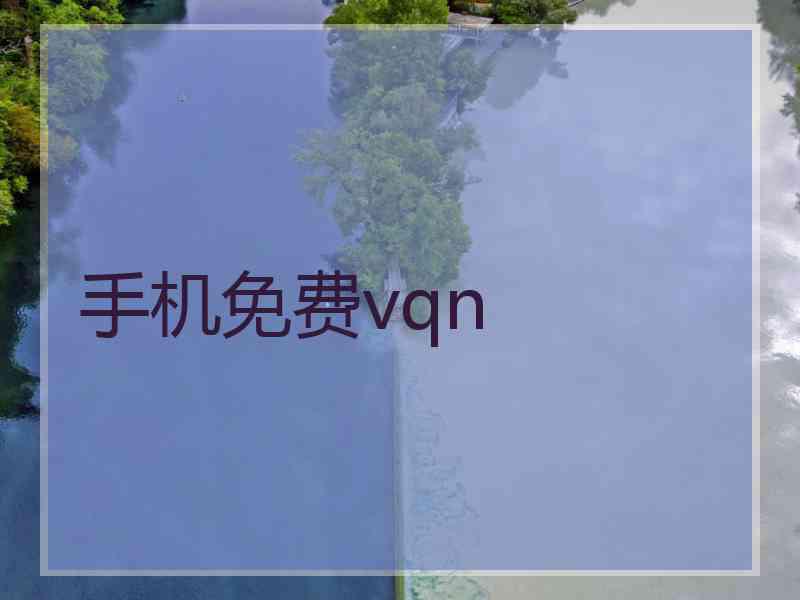 手机免费vqn