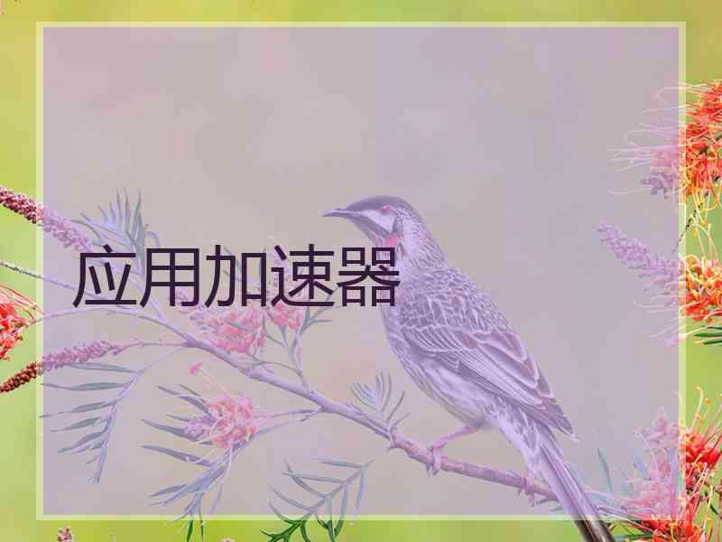 应用加速器