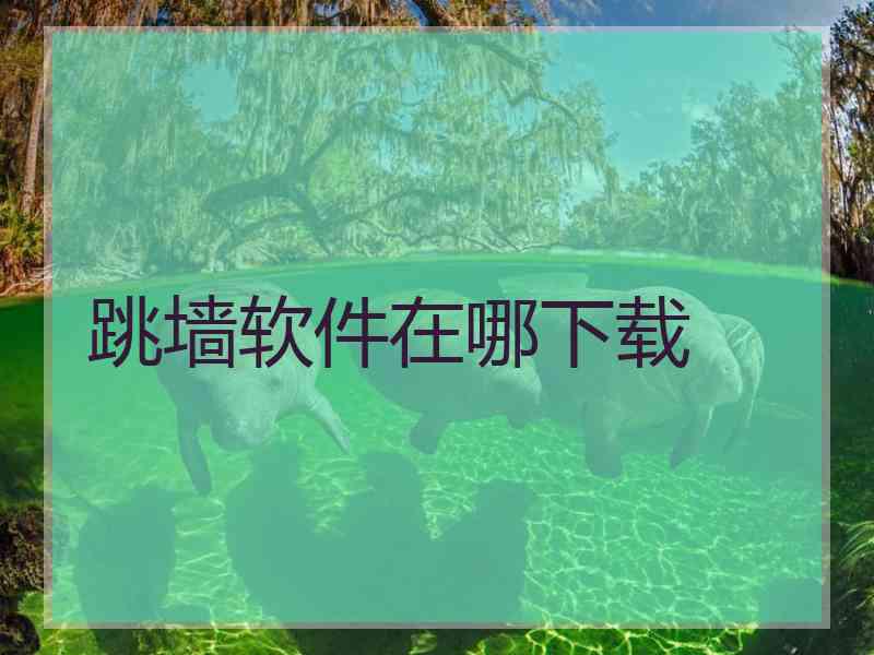 跳墙软件在哪下载