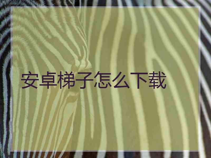 安卓梯子怎么下载
