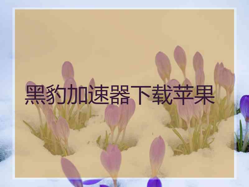 黑豹加速器下载苹果