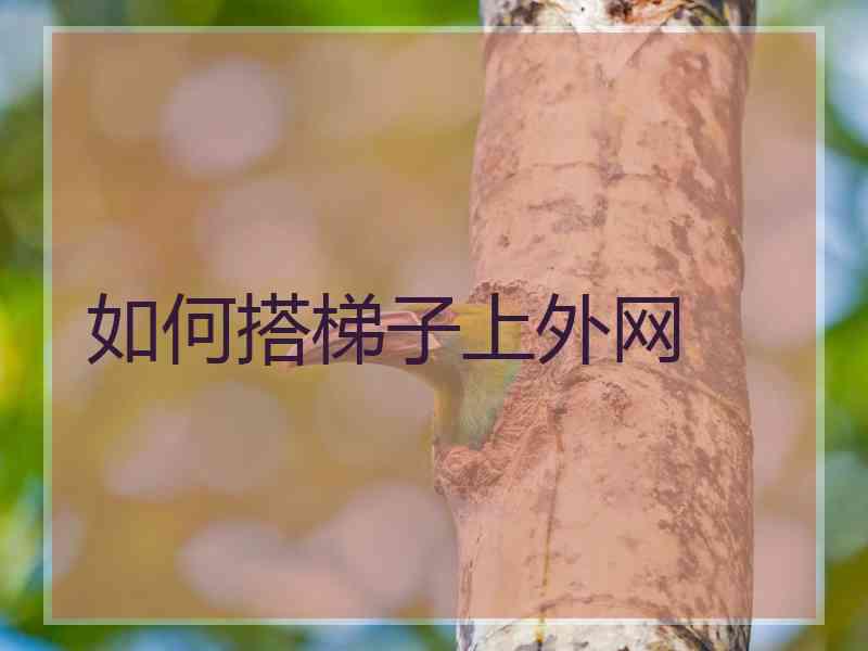如何搭梯子上外网