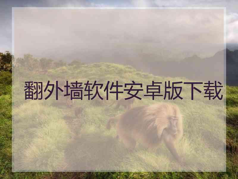 翻外墙软件安卓版下载