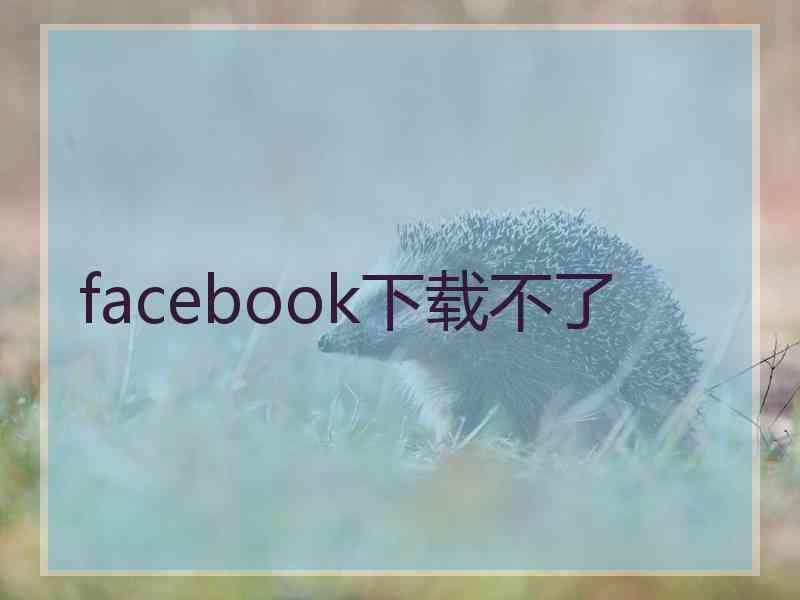 facebook下载不了