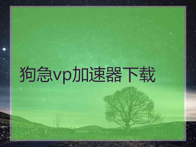 狗急vp加速器下载