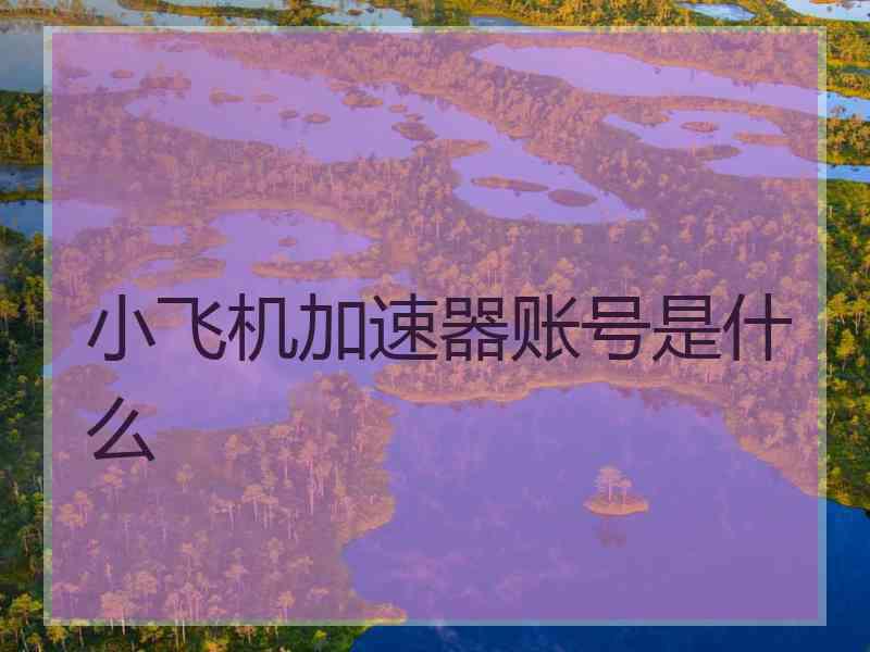 小飞机加速器账号是什么