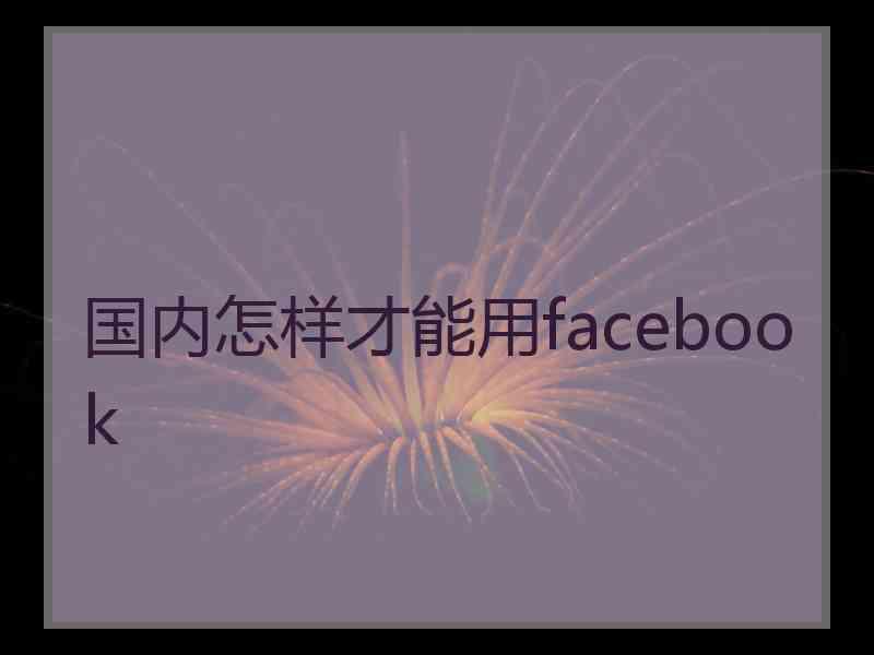 国内怎样才能用facebook