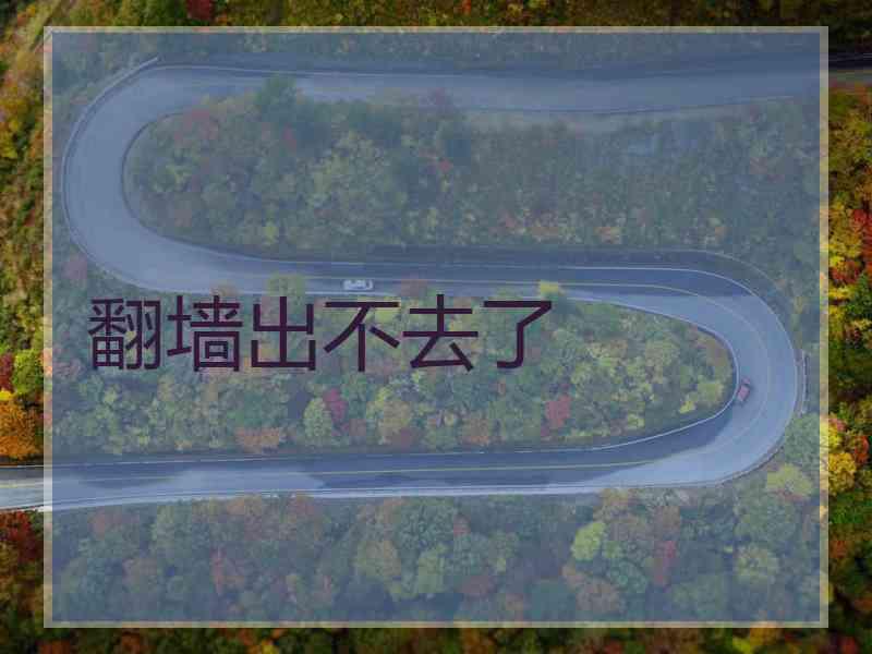 翻墙出不去了