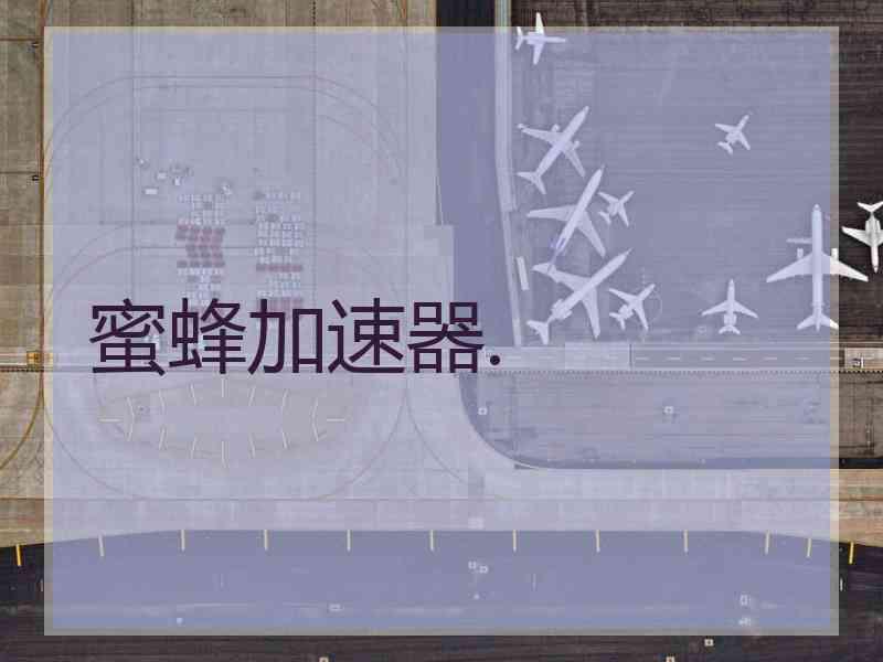 蜜蜂加速器.