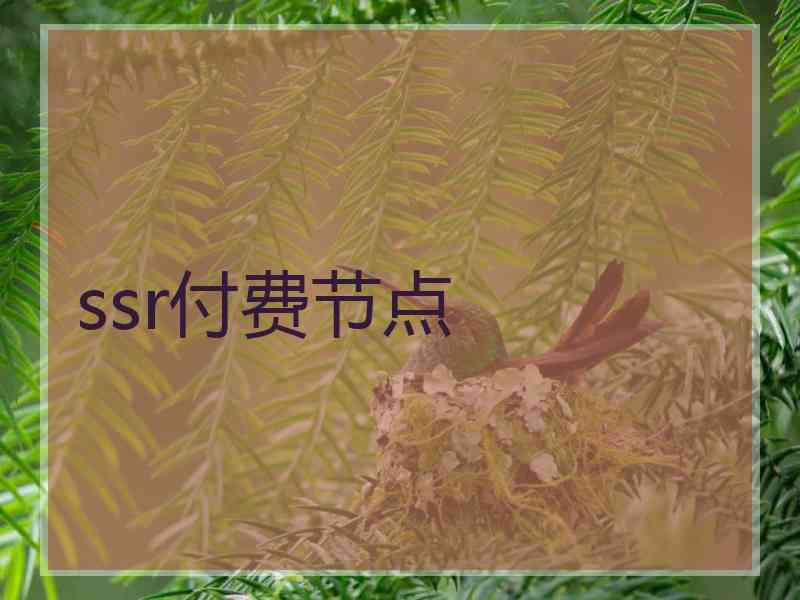 ssr付费节点