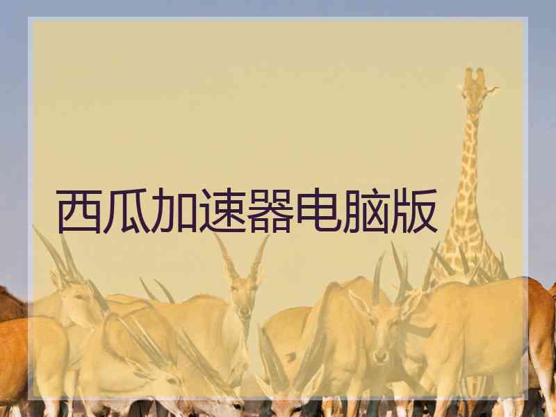 西瓜加速器电脑版
