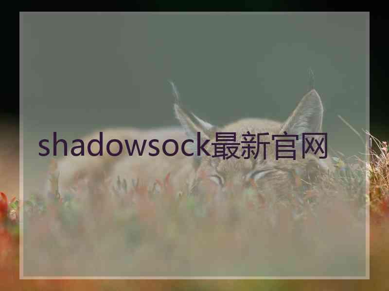 shadowsock最新官网