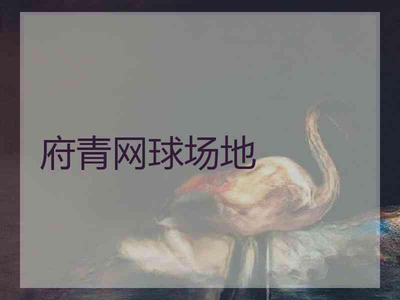 府青网球场地
