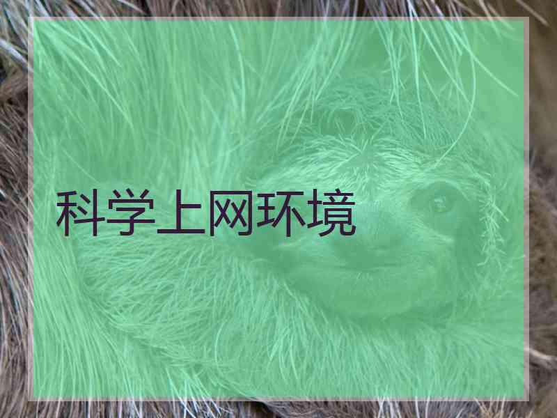 科学上网环境