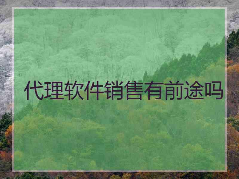 代理软件销售有前途吗