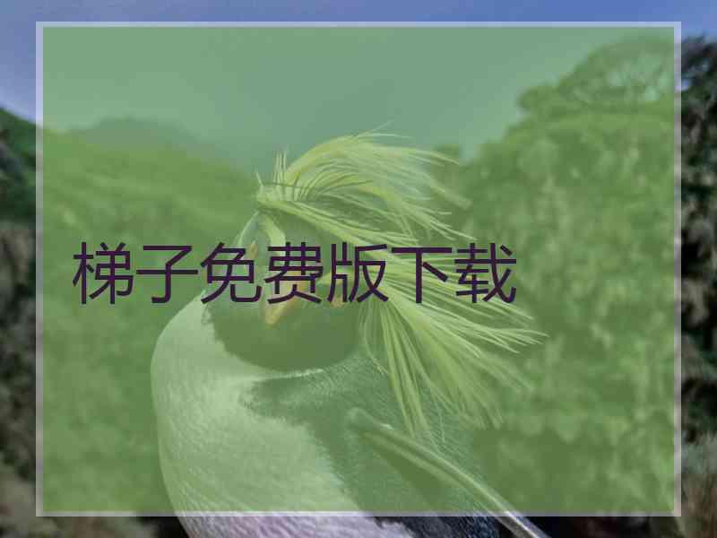 梯子免费版下载