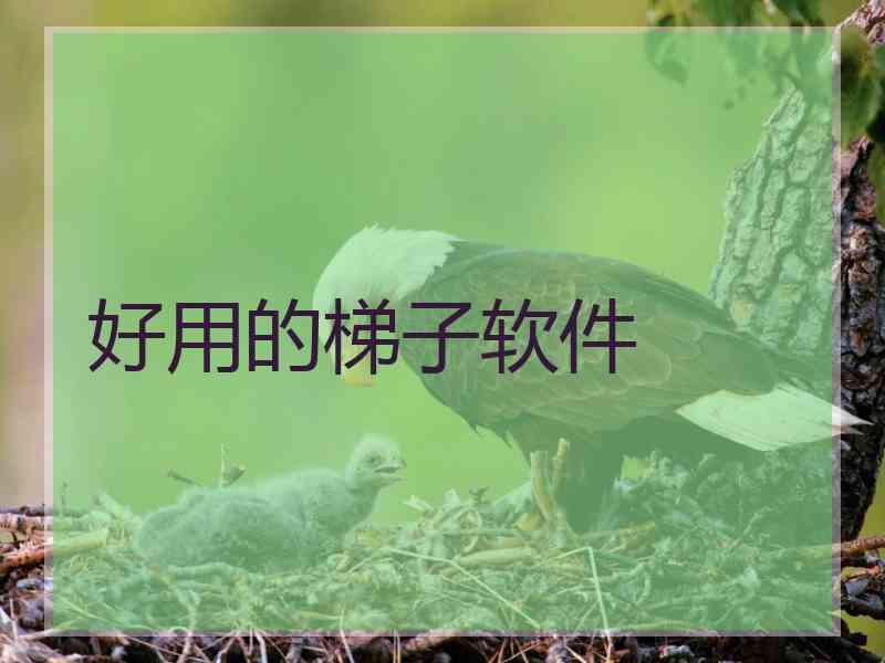 好用的梯子软件