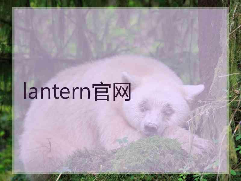 lantern官网