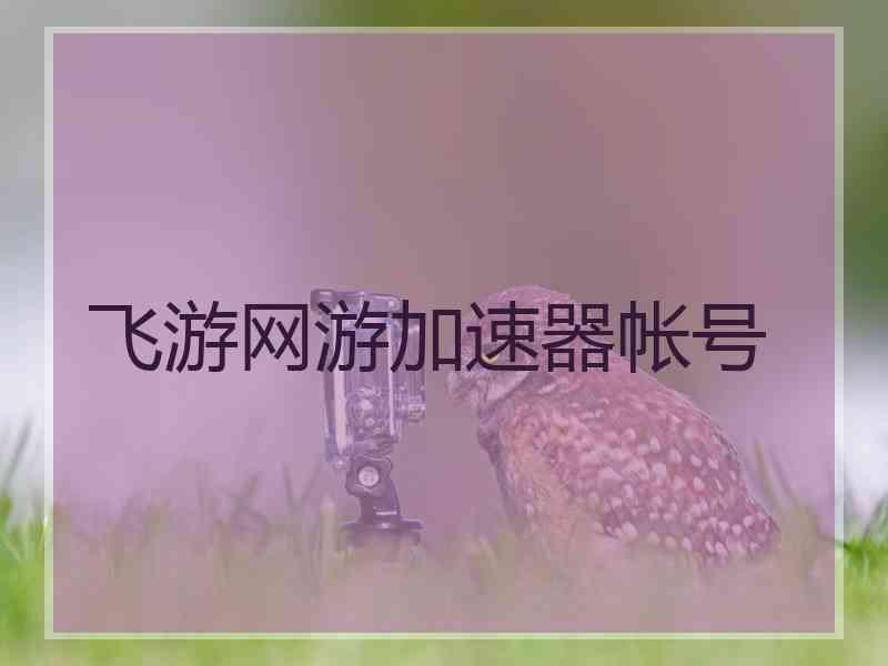 飞游网游加速器帐号