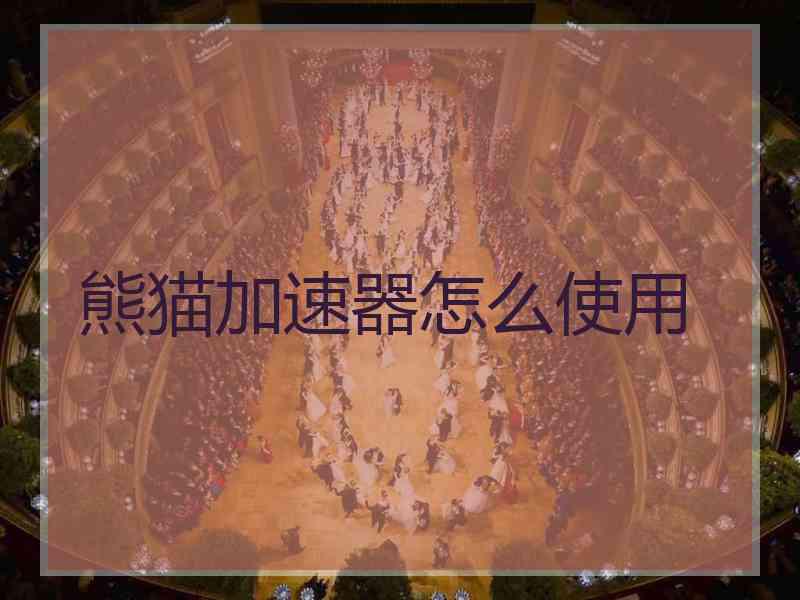 熊猫加速器怎么使用