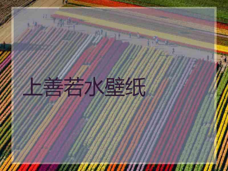 上善若水壁纸
