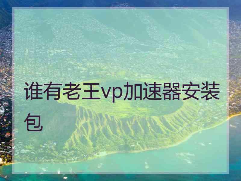 谁有老王vp加速器安装包