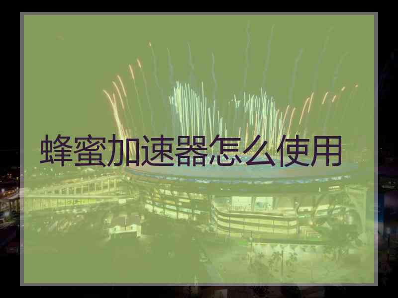 蜂蜜加速器怎么使用
