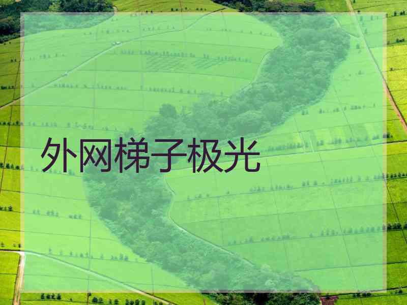 外网梯子极光