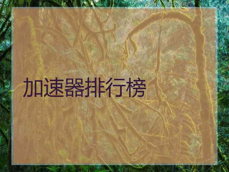 加速器排行榜
