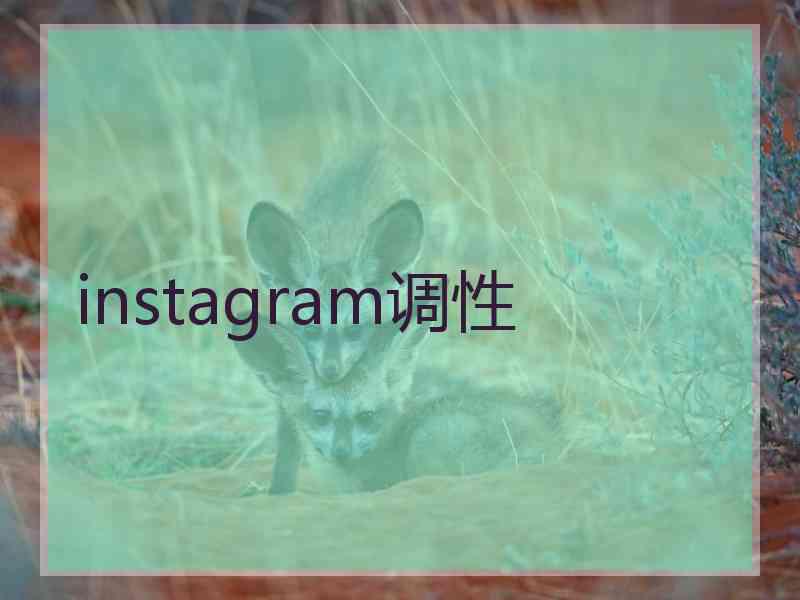 instagram调性