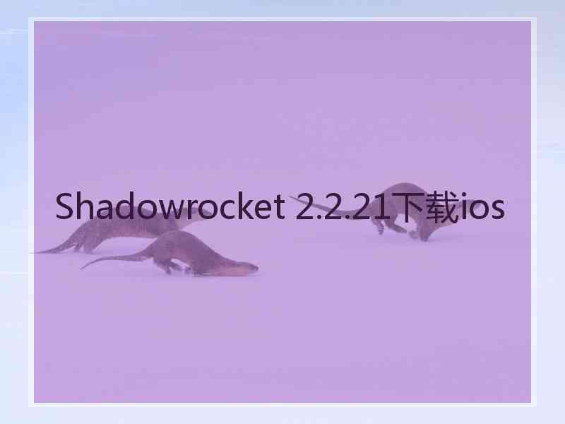 Shadowrocket 2.2.21下载ios